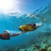 seabob