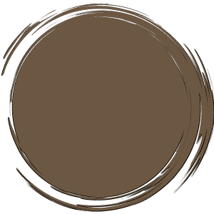 Couleur carbon fliteboard serie 3 bronze