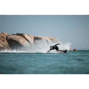 Ravik S action