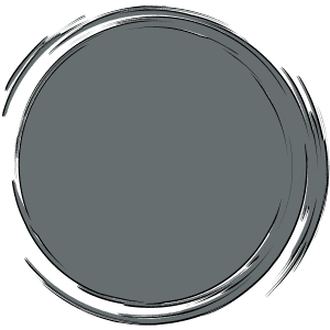 couleur seabob platin silver