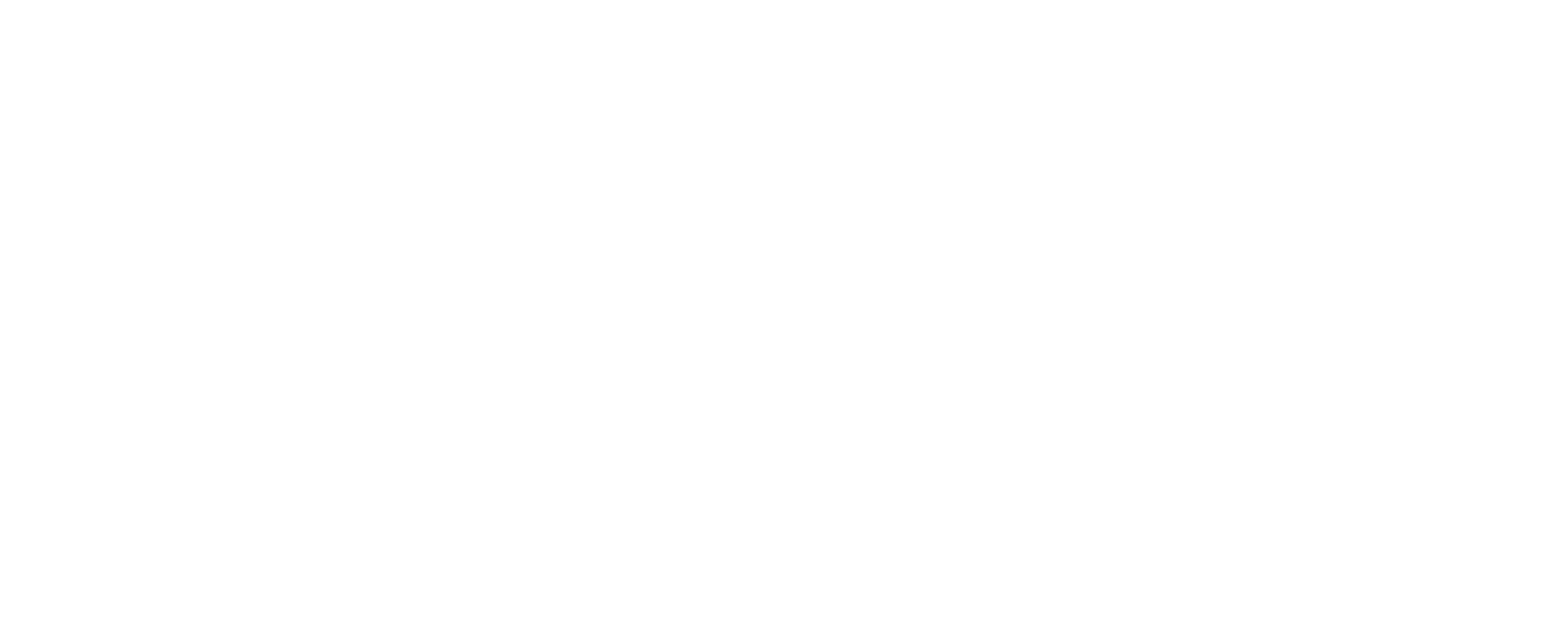Authorised Partner (2) flite logo blanc