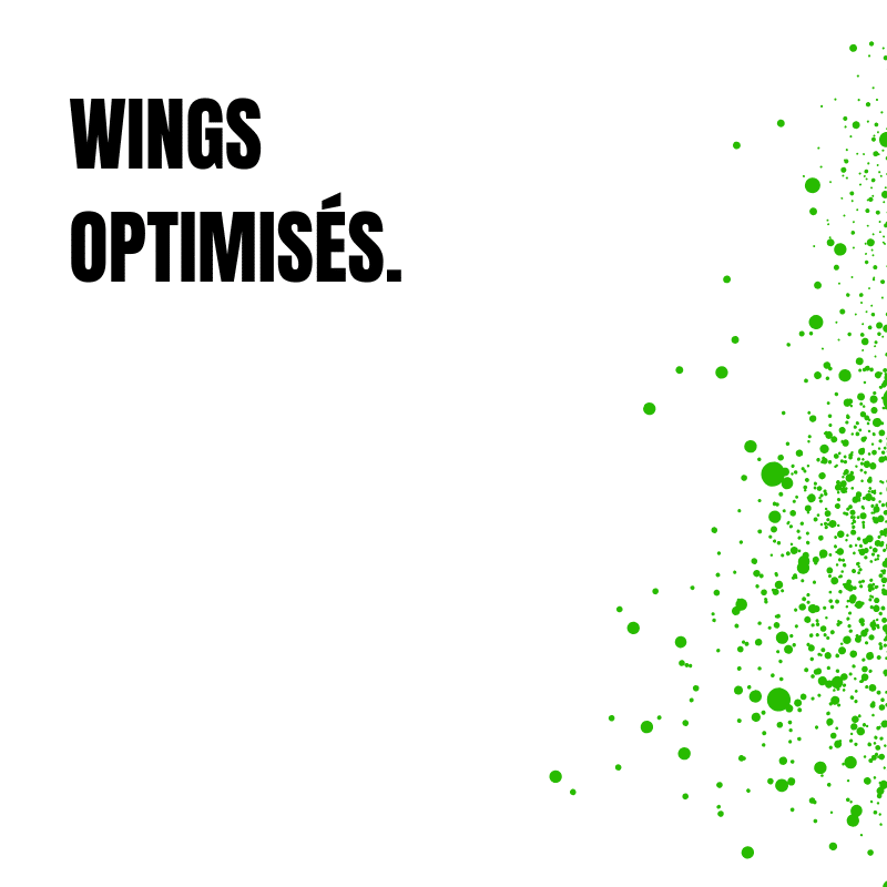 Wings flitelab optimisés