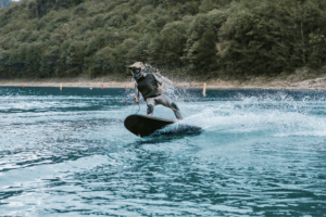 veepor en action back side